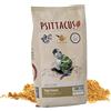Psittacus High Protein Hand Feeding 1 kg | Mangime completo per amazzoni, Cacatua e parrocchetti dal collare| Alimento premium per uccelli, 100% no-GMO