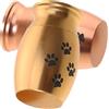 Didiseaon 2 Pezzi Urna Cremazione Animali Domestici Piccola Elegante con Impronta Zampa Contenitore Commemorativo Portatile per Ceneri Cane e Gatto Mini Scatola Ricordo per Animali
