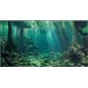Didooou Sfondo naturale paesaggistico per acquario, sfondo per acquario, adesivi boutique per acquario, 30cm, 40cm, 50cm, 60cm, 80cm (ocean-3, 30 * 60cm)