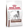 Royal Canin - Gastrointestinal Hondenvoer - 1 x 15 kg