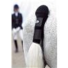 USG Parafango in Neoprene con Nastri Regolabili, Nero