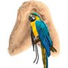 Birtern di parrocchetto, Caldo per pappagalli, scalda Gabbia per Uccelli, Accessorio per Gabbia per Uccelli, Letto per Uccelli per calopsitte, Uccelli solari, pappagalli, parrocchetti,