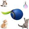 SWZEC Balla Interattiva 2.0 per Felini Piccola Zampetta, Speedy Tail 2.0 gatto teazys