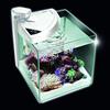 NEWA MORE 50 LITRI REEF