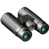 Generic Binocolo ad alta definizione 10 x 42 con visione notturna in condizioni di scarsa illuminazione, per bird watching all'aperto e fotografia con telefono cellulare