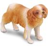 Collecta Piedi rasy Spaniel Cavalier King Charles