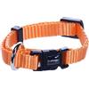 Flamingo Collare ZIGGI Arancio XXS 15-25CM 10MM