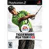 Electronic Arts Tiger Woods PGA Tour 09 (Playstation 2)