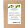 Magic Garden Seeds Piante selvatiche commestibili - Set di semi con 5 verdure e erbe selvatiche commestibili