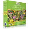 EUROPA GREEN Fiori misti per api (17M2) - Prato Giapponese (Fiori selvatici)