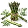 Generico Semi di Asparago 6g | Alta Germinazione | Semi da Orto per Coltivazione Pluriennale | Asparagi Verdi Teneri e Saporiti | Ideale per Giardino | Made in Italy
