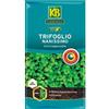 KB EVERGREEN KB Semi Prato Trifoglio NANISSIMO CONFETTATO - SEMENTI per Tappeto ERBOSO 100GR