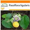 SAFLAX - Garden in the Bag - Granadilla - 20 semi - Passiflora ligularis