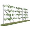 Kiwiri RANKI ™ - Supporto per piante rampicanti - Spalliera di standard da piantagione per vigne, kiwi, kiwifrutti, rose, clematidi, frutta da spalliera (3-campi (6 metri))