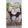 SeedsSelect Semi Micelio Essiccato Funghi Champignon Bianco Prataiolo Busta 25 Grammi