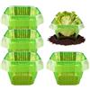 Generic Campane da giardino per piante da giardino, protezione portatile per verdure, 20 pezzi, protezione riutilizzabile per piantine, protezione per piante, ortaggi, fiori e piante