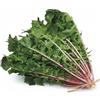 Generico Semi Cicoria Selvatica da Campo 6g | Cicoria Rustica e Resistente | Semi Alta Germinazione | Ideali per Orto, Vaso e Giardino | Raccolto Naturale e Abbondante | Multiseme