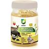 UEBER Disabituante per cinghiali gel