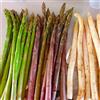 Generic semi di asparagi selvatici, balcone biologici resistenti vecchie varietà 250pcs