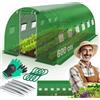 KESSER® Serra stabile con 12 finestre con zanzariera e porta, tunnel da giardino con telaio in acciaio zincato, 170 g/m², con guanti e corde, 600 x 300 cm, verde