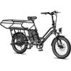 Fafrees Bicicletta elettrica Fafrees FF20 CUV, 12 Ah x 2 batterie, 250 W 1 St