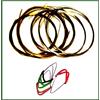 ELLORA Plettri mizrab per Sitar, confezione risparmio da 4 pezzi, e set corde completo, bronzo e acciaio tedesco