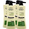 FEI FAN Shampoo LISCIO ASSOLUTO Con Phyto-Keratin, Ultra Setosità, Per Capelli Lisci. 5 Azioni: Disciplina, Elimina Il Crespo, Idrata, Illumina, Tocco Vellutato 400ml (4 Flaconi)