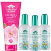 Giardino Dei Sensi Fior Di Loto Candido - Profumo Donna Spray 100 ml + Doccia Schiuma 100 ml In Omaggio - Fragranza delicata, set completo per un rituale di bellezza (3 Unità)