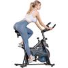 OEM Cyclette da volano da 6 kg, resistenza regolabile, QK116C