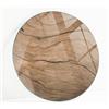 Generic Vassoio in Vetro Rotondo ø 60 cm | Lastra di Protezione | Installazione Semplice | Con Cuscinetti Antiscivolo | Superficie Liscia | Per Tavoli Mobili Fai Da Te | Decorativo - Legno Naturale