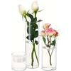 Generic Vasi cilindrici in acrilico, vasi da fiori cilindrici in plastica trasparente, per centrotavola per matrimoni, decorazioni per casa e ufficio (10 x 25 cm)