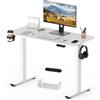 SANODESK Scrivania Regolabile in Altezza con Piano Completo - Inclusi 4 Accessori: Portabicchieri, Gancio, Contenitore e Gestione Cavi, con Funzione di Memoria, per Ufficio e Tempo Libero
