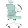 rattantree Sedia da Ufficio, Sedia Ufficio Scrivania con Poggiatesta Regolabile, Sedia Ergonomica per Computer con Braccioli Regolabili e Supporto Lombare per Home Office, Verde