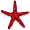 SICILIA BEDDA CAPACI Stella Marina Monocolore in Pregiata Ceramica Siciliana (1Unità) con Varie opzioni Colore e Misure - Rosso, cm 17x17