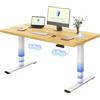 FLEXISPOT Scrivania Regolabile in Altezza Elettrica 140×80 cm con Doppio Motore, Piano Unico da 25 mm, Gambe Telescopiche a 3 Sezioni EC5 LITE