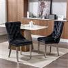 PLLBIKK Sedie da sala da pranzo in set da 2 pezzi, moderne Tufted Dining Chairs in legno massello con imbottitura in velluto, gambe cromate in acciaio inox e rifiniture per nail head, nero/argento