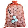 Titleist Pro V1/Pro V1X Palline da golf riciclate B/C Grade in sacchetto a rete cipolla (72 pezzi), bianco