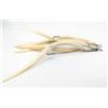 MACKEREL ESCA FINTA ANGUILETTE 15CM BIANCO