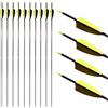 PHILOCS 12 Pezzi ID 4,2 mm Frecce da Caccia Giallo Army Green Piuma di Tacchino Spine 300 350 400 500 600 700 800 900 1000 1100 1300 1500 1800, per Giovani Adulti Pratica di Tiro con L'Arco & Caccia