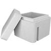 Generico Scatola Termica in Polistirolo Alta Densità, 15 x 15 x 15 cm, Bianco, con Coperchio ad Incastro, 2 Pezzi, per Spedizioni Farmaceutiche e Alimentari
