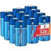 AgfaPhoto Batterie Alcaline PLUS D LR20 1.5V Confezione da 12, Lunga Durata, Ideali per Lampade Radio Giocattoli, Prestazioni Affidabili, Uso Domestico e Professionale, Conservazione 7 Anni
