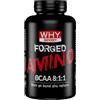 WHY SPORT FORGED AMINO BCAA 8:1:1 - Aminoacidi Ramificati BCAA 8:1:1 - Post Workout con Glutammina - 150 Compresse