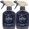 FEI FAN 2x Detergente Spray LUCIDA ARGENTO, Speciale Azione Immediata. Lucida Agendo Da Solo Anche Nelle Casellature, Con Agenti Autoattivi 150ml