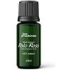 inkanat Olio Essenziale di Legno di Rosa 10ml INKANAT, puro e naturale| olio Aniba Rosaeodora Amazonica