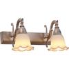 RXPVUXE Applique da parete in vetro a forma di fiore a 2 luci, lampada da toeletta moderna vintage per bagno sopra lo specchio, applique da parete in metallo industriale rustico per corridoio camera d