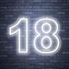 NAKEAH Numero 18 Insegna al neon a LED Luce modellante a LED Lettere luminose Cartello Pannello in acrilico Luce decorativa al neon, 40X30cm (Color : Cold White)