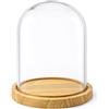 PALUPLUS Campana in Vetro con Base in Legno, Teca in Vetro Trasparente, Espositore per oggetti, composizioni floreali e luci, oggetto decorativo per la tua casa -939M -0,9 (13x16 cm)