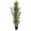 HJH Office Piante artificiali BAMBUS Altezza della pianta: 165 cm, Verde, Plastica/Tessuto, Albero artificiale, 871011