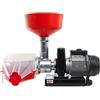 Gruppo Palumbo Passapomodoro spremipomodoro elettrico Pavi SM5 PPL 0,5 HP