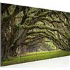 Runa Art Murali XXL Foresta paesaggio 200 x 80 cm Verde 5 Pezzi - Made in Germany - 609955a